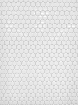 1" Hexagon Polished White Porcelain Mosaic
