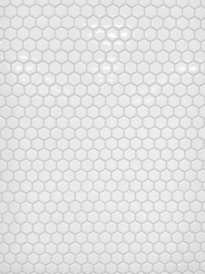 1" Hexagon Polished White Porcelain Mosaic