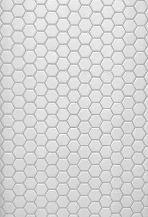 1" Hexagon Unglazed White Porcelain Mosaic