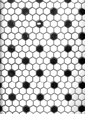1" Hexagon Polished White and Black Porcelain Mosaic